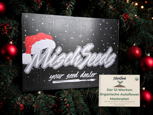 MischSeeds Adventskalender [Limitierte Edition] + GRATIS Masterplan Bundle