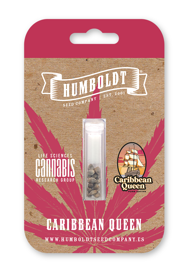 Caribbean Queen (Humboldt Seed Co.) feminisiert