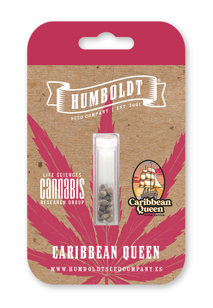 Caribbean Queen (Humboldt Seed Co.) feminisiert