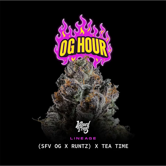 OG Hour (Wizard Trees) feminisiert