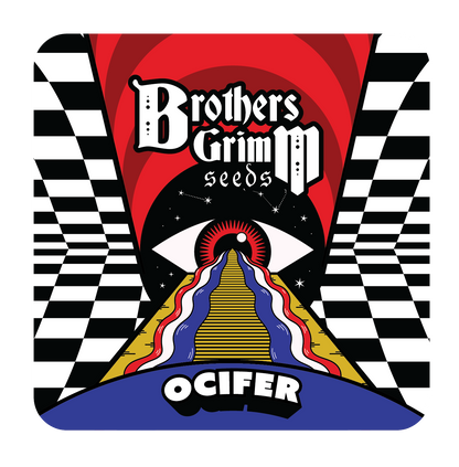 Ocifer (Brothers Grimm Seeds) feminisiert