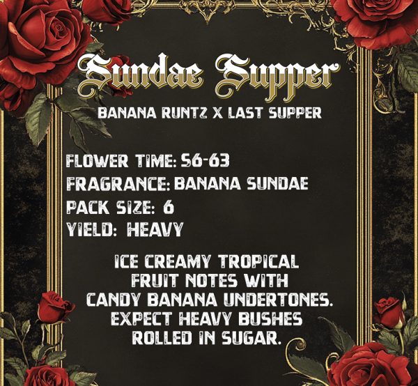 Sundae Supper (Solfire Gardens) feminisiert