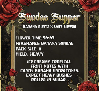 Sundae Supper (Solfire Gardens) feminisiert