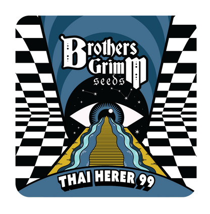 Thai Herer 99 (Brothers Grimm Seeds) feminisiert