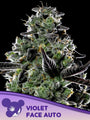 Violet Face Auto (Anesia Seeds)