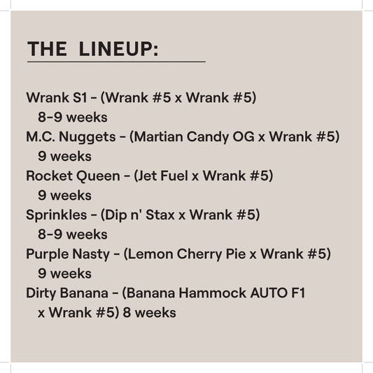 Wrank Multipack (Ethos Genetics) feminisiert