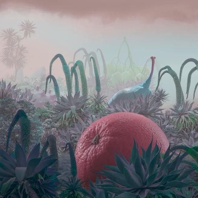 Pepe Silvia R1 (Ethos Genetics) feminisiert