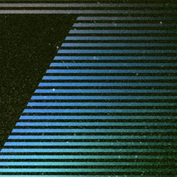 Colin OG RBX (Ethos Genetics) feminisiert