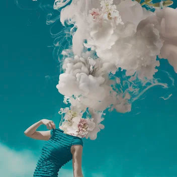 Inzane Auto (Ethos Genetics)