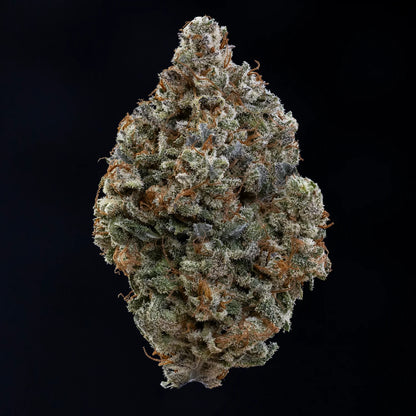 Ravenberry Auto (Mephisto Genetics)