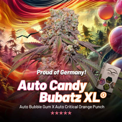 Candy Bubatz XL Auto (Dutch Passion)
