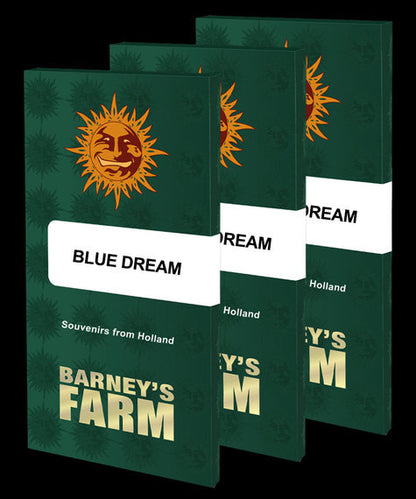 Blue Dream (Barneys Farm) feminisiert