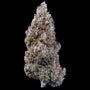 Bubbasquanch Auto (Mephisto Genetics)