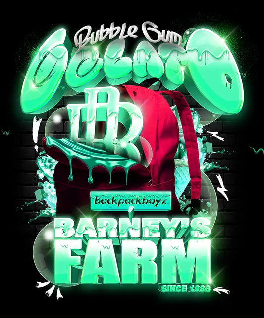 Bubblegum Gelato (Barneys Farm) feminisiert