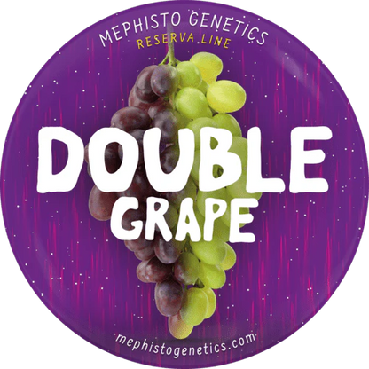 Double Grape Auto (Mephisto Genetics)