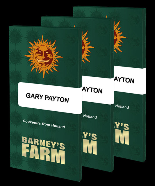 Gary Payton (Barneys Farm) feminisiert