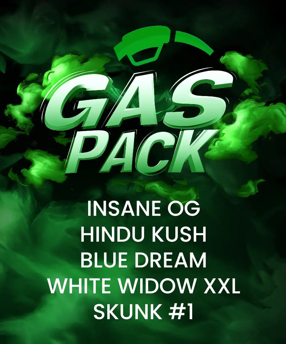 Gas Pack Strain (Barneys Farm) feminisiert Cannabis Samen von Barneys Farm