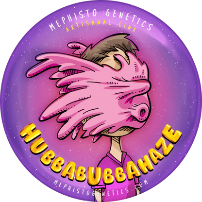 Hubbabubbahaze Auto (Mephisto Genetics)