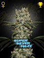 Super Silver Haze (Greenhouse Seed Co.) feminisiert