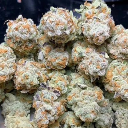 Slurricane #7 S1 (In House Genetics) feminisiert