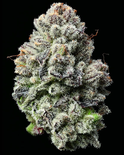 Lemon Cherry Gelato (Barneys Farm) feminisiert