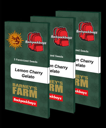 Lemon Cherry Gelato (Barneys Farm) feminisiert