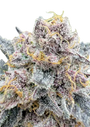 Cherry Cola Auto RF3 (FastBuds)