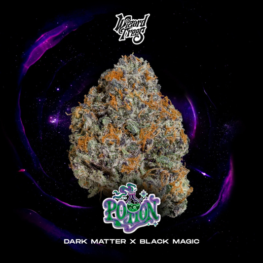 Potion (Wizard Trees) feminisiert Cannabis Samen von Wizard Trees
