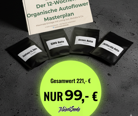 Turbo-Ertrags-Bundle: Masterplan + 12 Premium Autoflower Seeds