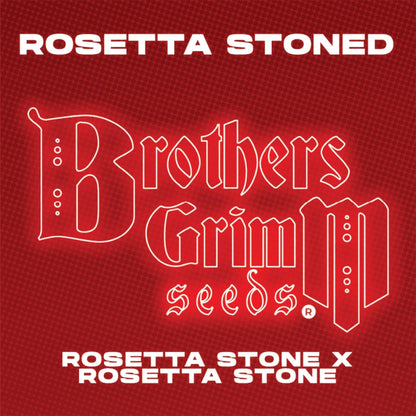 Rosetta Stone (Brothers Grimm Seeds) feminisiert