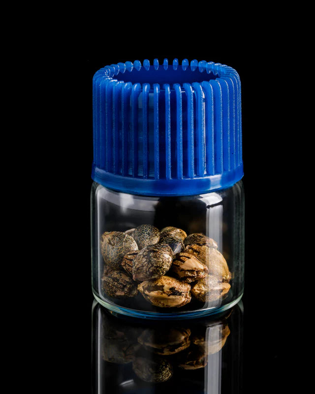 Strawberry Skrilla (Compound Genetics) feminisiert