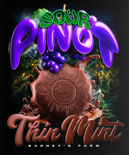 Thin Mint x Sour Pinot Auto (Barneys Farm)